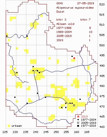 Alopecurus myosuroides